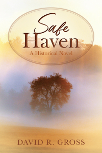 Cover image: Safe Haven 9781977255990