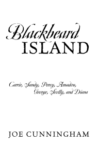 表紙画像: Blackbeard Island 9781977261762