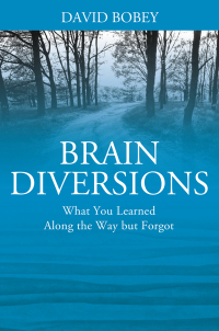 Cover image: Brain Diversions 9781977255402