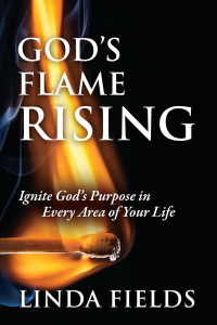Cover image: God's Flame Rising 9781977261533