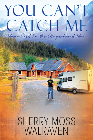 Cover image: You Can't Catch Me 9781977267368