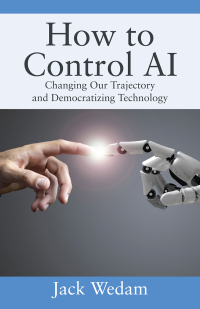 Cover image: How to Control AI 9781977269041