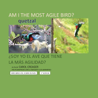 Imagen de portada: AM I THE MOST AGILE BIRD? 9781977261144