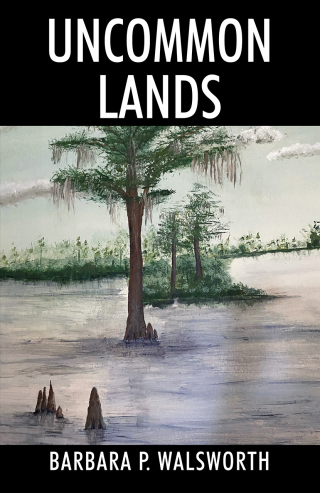 Imagen de portada: Uncommon Lands 9781977264848