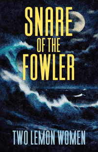 Cover image: Snare of the Fowler 9781977249623