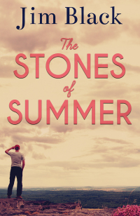 Cover image: The Stones of Summer 9781977273130