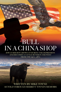Cover image: Bull in a China Shop 9781977271839