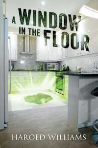 Cover image: A Window In The Floor 9781977268358