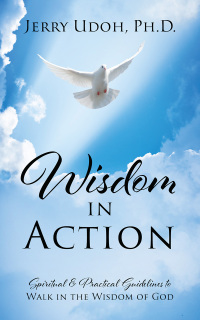 Cover image: Wisdom in Action 9781977277374