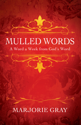 Cover image: Mulled Words 9781977276834