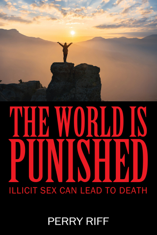 Imagen de portada: The World Is Punished 9781977277923