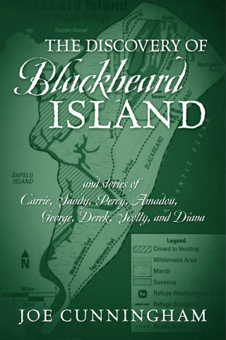 Cover image: The Discovery of Blackbeard Island, and stories of Carrie, Sandy, Percy, Amadou, George, Derek, Scotty, and Diana 9781977276018