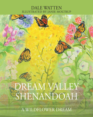 Cover image: Dream Valley Shenandoah 9781977275189