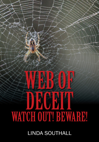 Cover image: Web of Deceit 9781977285089