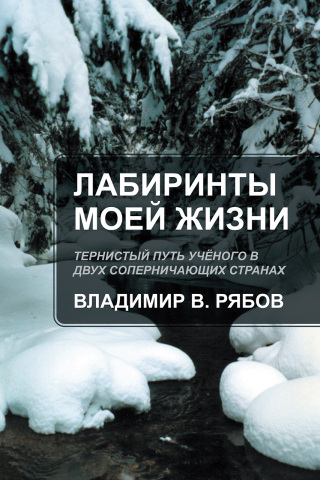 Imagen de portada: Лабиринты Моей Жизни 9781977292803