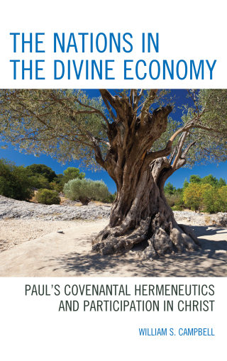 Cover image: The Nations in the Divine Economy 1st edition 9781978700758