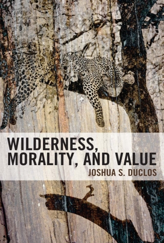 Titelbild: Wilderness, Morality, and Value 1st edition 9781666901382