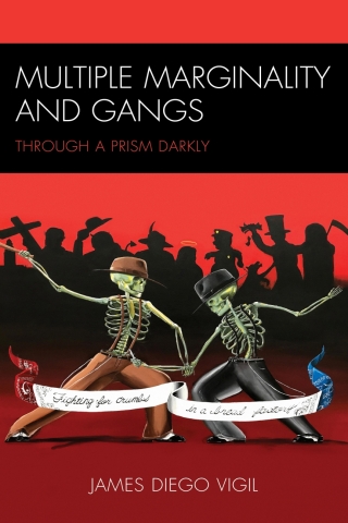 Imagen de portada: Multiple Marginality and Gangs 1st edition 9781793613332