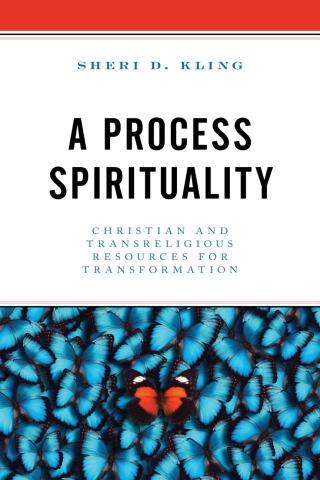 Imagen de portada: A Process Spirituality 1st edition 9781793630421