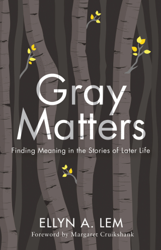 Imagen de portada: Gray Matters 9781978806320