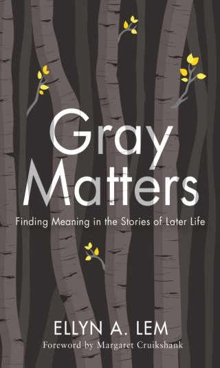 Imagen de portada: Gray Matters 9781978806320