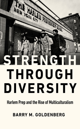 Cover image: Strength through Diversity 9781978823402