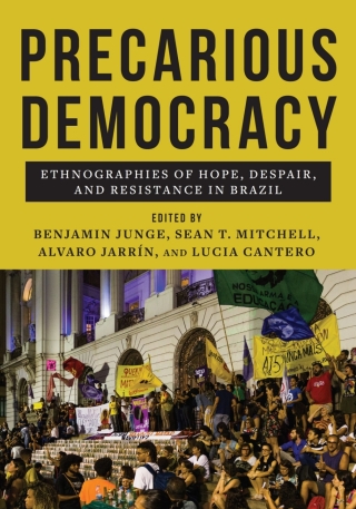 Imagen de portada: Precarious Democracy 9781978825659
