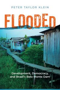 Cover image: Flooded 9781978826137