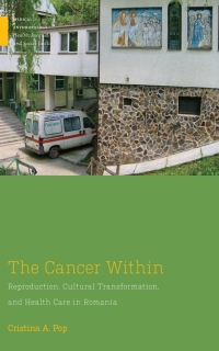 Imagen de portada: The Cancer Within 9781978829589