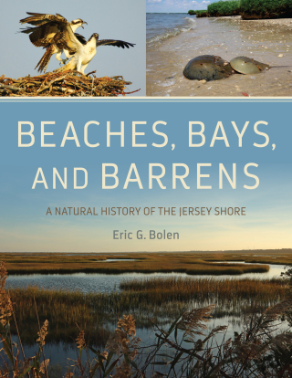 Cover image: Beaches, Bays, and Barrens 9781978836181