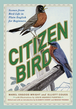 Cover image: Citizen Bird 9781978837072
