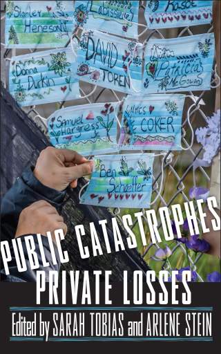 Cover image: Public Catastrophes, Private Losses 9781978838758