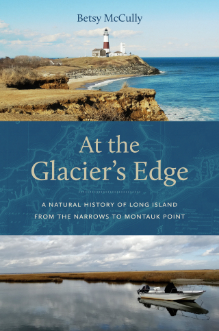 Cover image: At the Glacier’s Edge 9781978838925