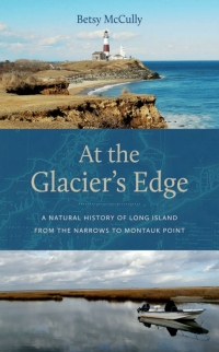 Cover image: At the Glacier’s Edge 9781978838925