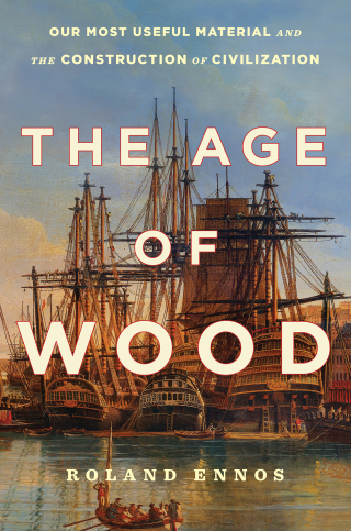 Cover image: The Age of Wood 9781982114749
