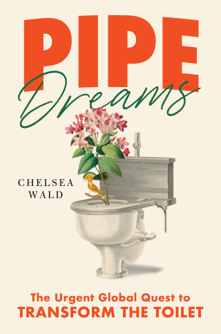 Cover image: Pipe Dreams 9781982116224