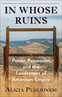Cover image: In Whose Ruins 9781982116750