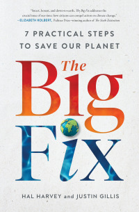 Cover image: The Big Fix 9781982123994