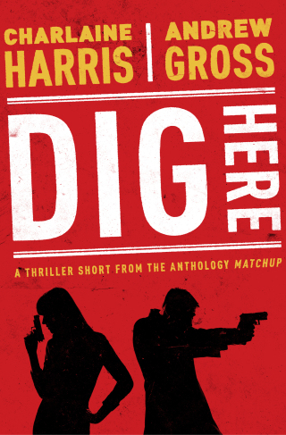 Cover image: Dig Here