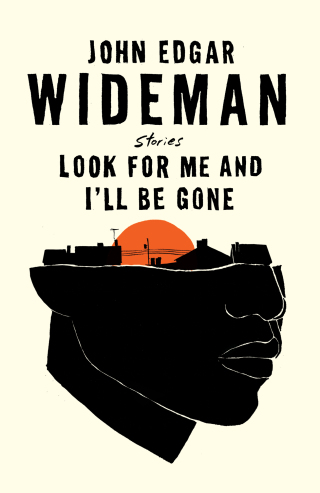 Cover image: Look for Me and I'll Be Gone 9781982148959