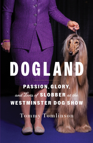 Cover image: Dogland 9781982149338