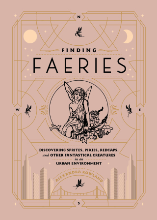 Cover image: Finding Faeries 9781982150266