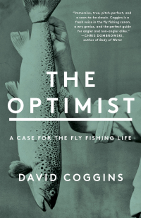 Cover image: The Optimist 9781982152512
