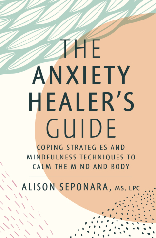 Cover image: The Anxiety Healer's Guide 9781982177829