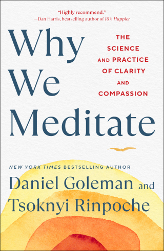 Cover image: Why We Meditate 9781982178468