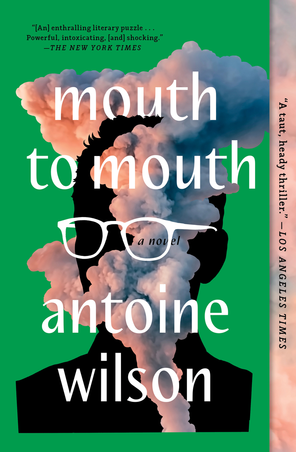Mouth to Mouth eBook