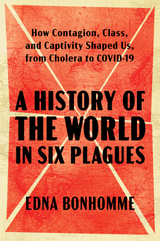 Cover image: A History of the World in Six Plagues 9781982197834