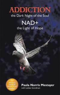 Cover image: Addiction: the Dark Night of the Soul/ Nad : the Light of Hope 9781982218133
