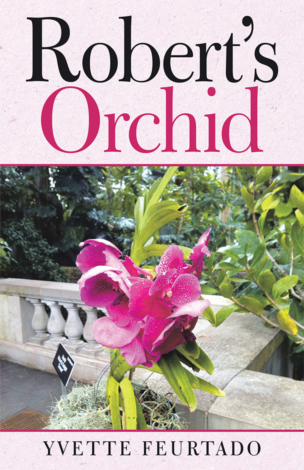 Robert’s Orchid