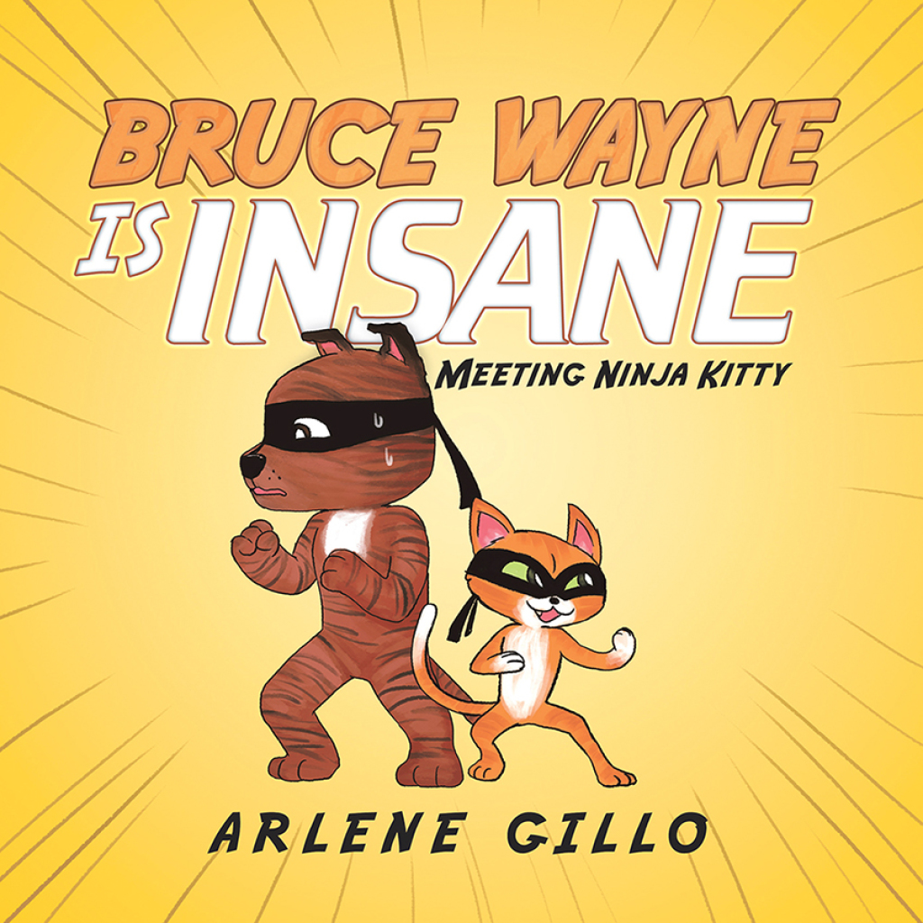 Bruce Wayne Is Insane eBook